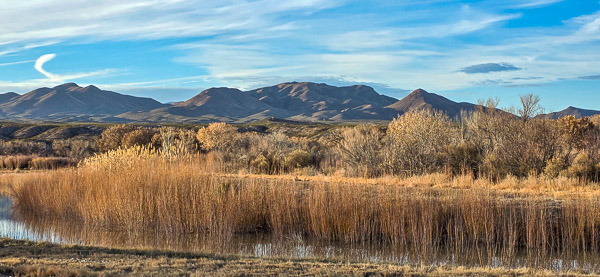 Bosque del Apache National Wildlife Refuge, New Mexico